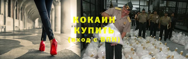 ГАЛЛЮЦИНОГЕННЫЕ ГРИБЫ Белокуриха