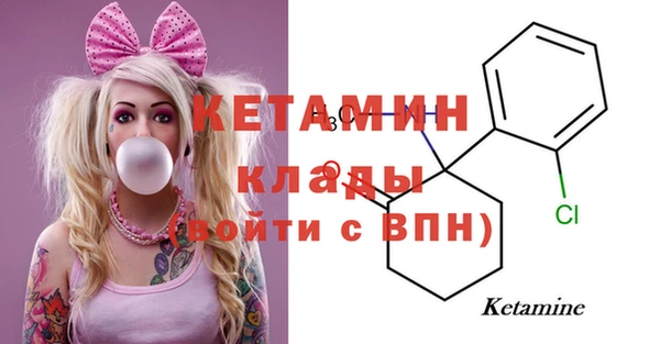 прущие грибы Беломорск