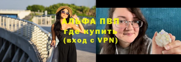 ГАЛЛЮЦИНОГЕННЫЕ ГРИБЫ Белокуриха