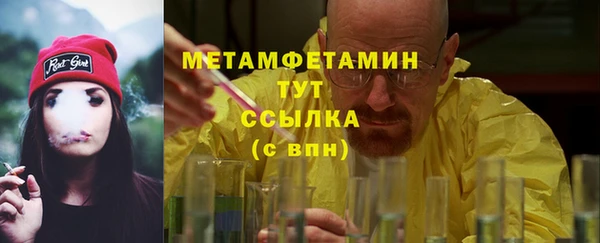 прущие грибы Беломорск