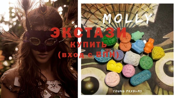 ГАЛЛЮЦИНОГЕННЫЕ ГРИБЫ Белокуриха