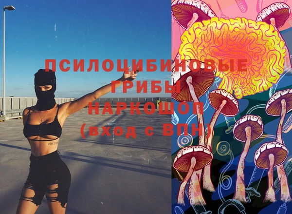 ГАЛЛЮЦИНОГЕННЫЕ ГРИБЫ Белокуриха
