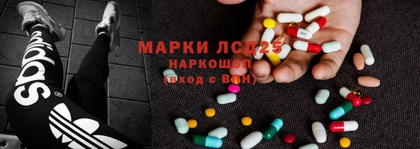 ГАЛЛЮЦИНОГЕННЫЕ ГРИБЫ Белокуриха