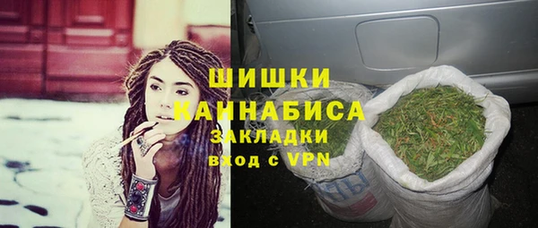PSILOCYBIN Белоозёрский