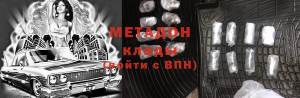 прущие грибы Беломорск