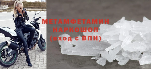 прущие грибы Беломорск