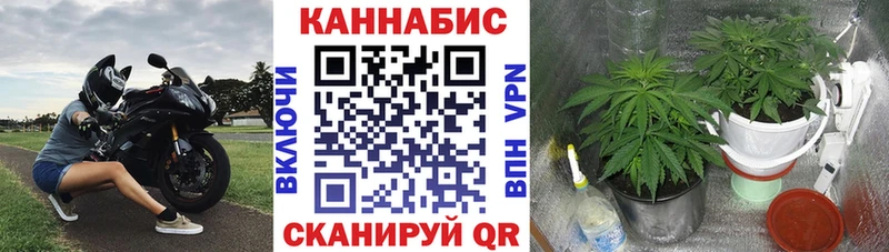 darknet телеграм  Волгореченск  Бошки Шишки Bruce Banner  где найти наркотики 
